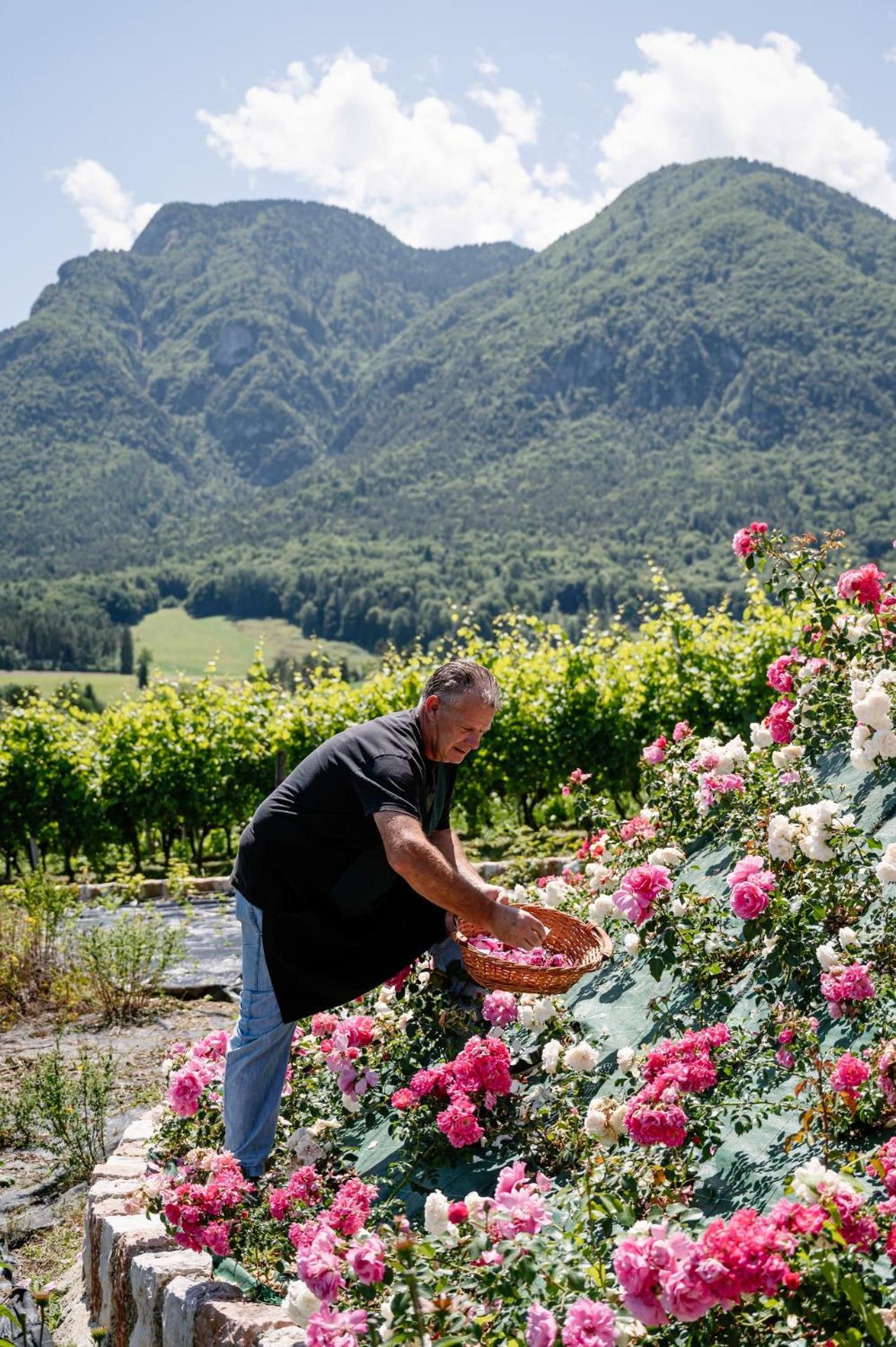 Agritur Maso Alle Rose B&B E Restaurant Balbido-rango 外观 照片